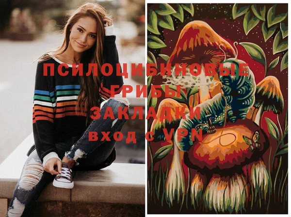 PSILOCYBIN Лиски