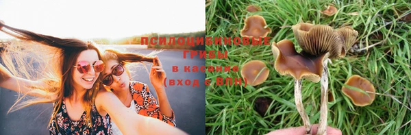 сатива Ладушкин