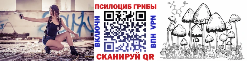 Купить закладки  Тында  Галлюциногенные грибы мухоморы 